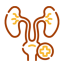 urology-icon